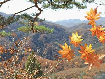 吃打胎药流血少正常吗（吃打胎药流血少正常吗图片）